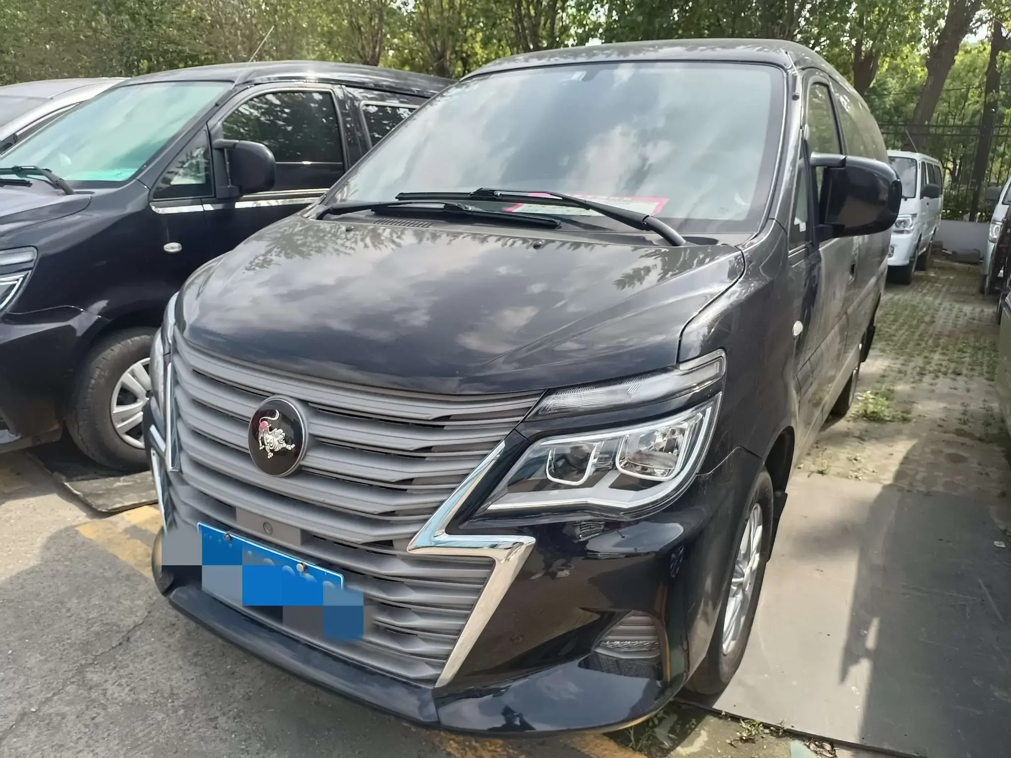 FORTHING LINGZHI