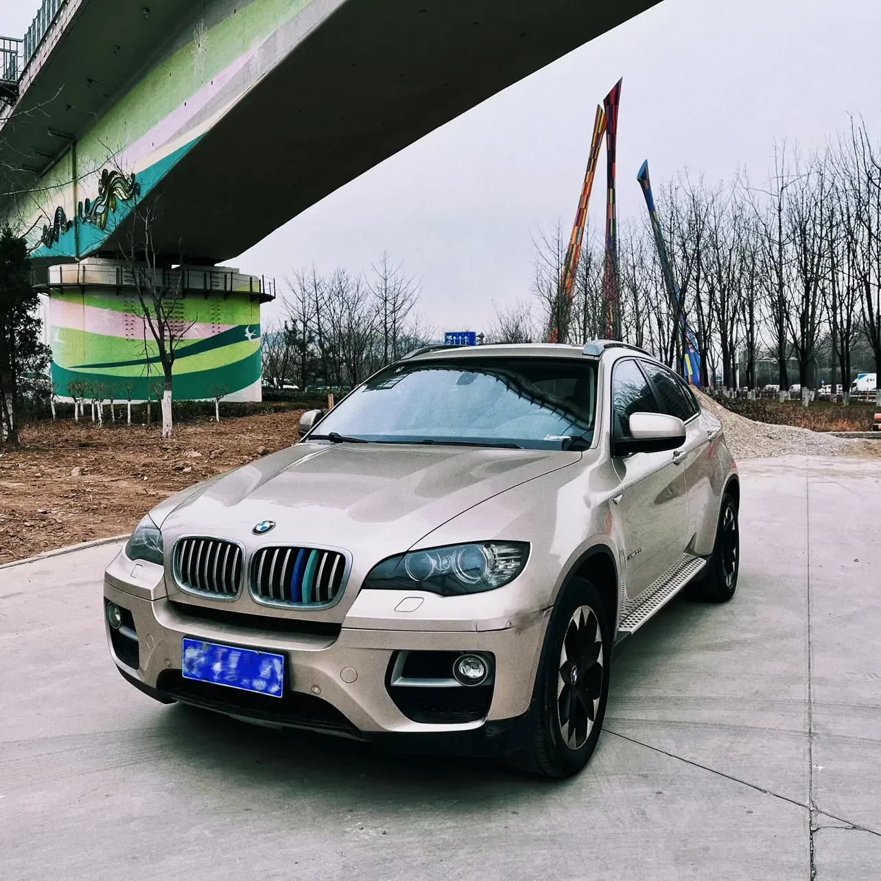 BMW X6