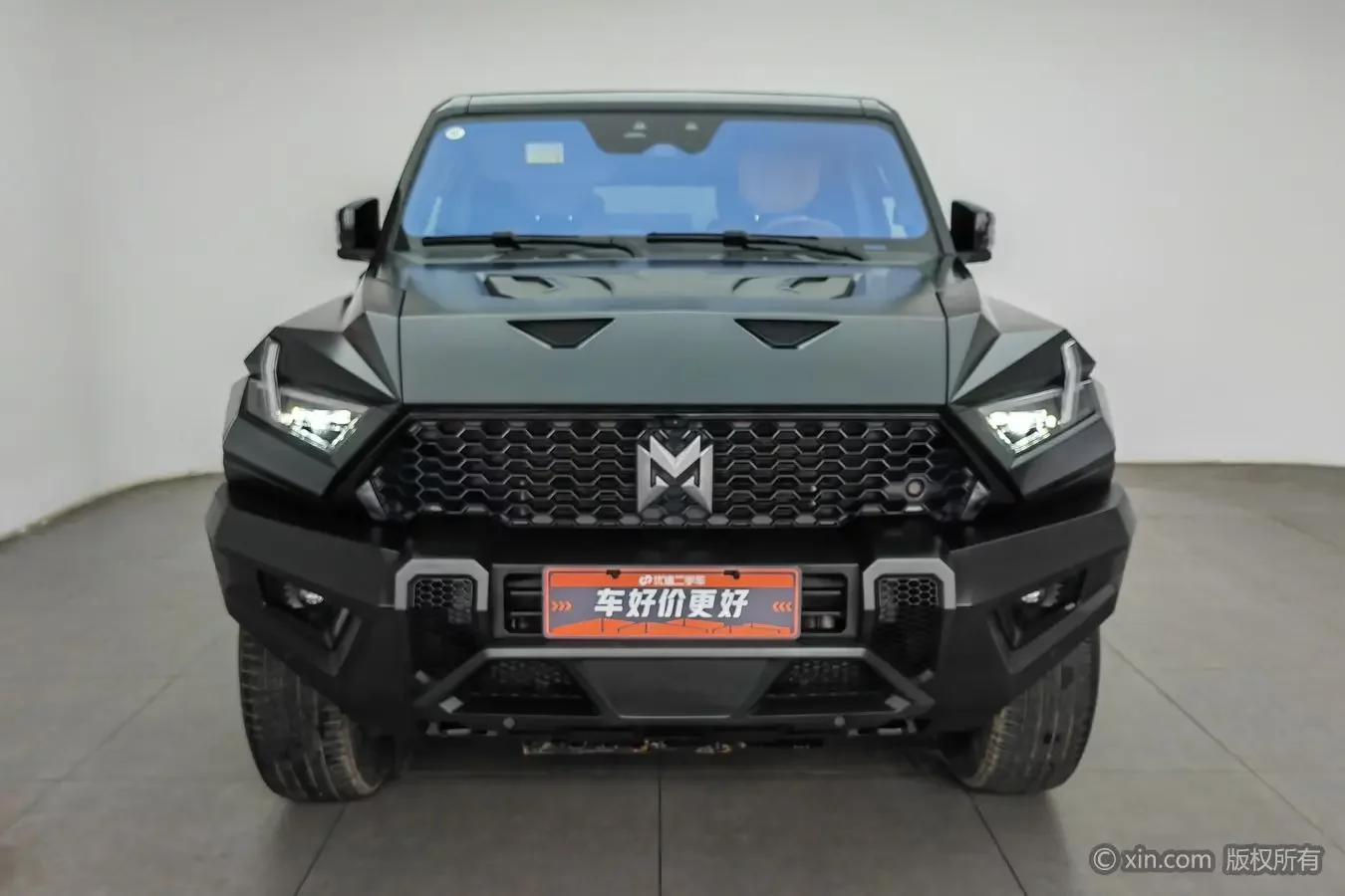 Mengshi Warrior 917