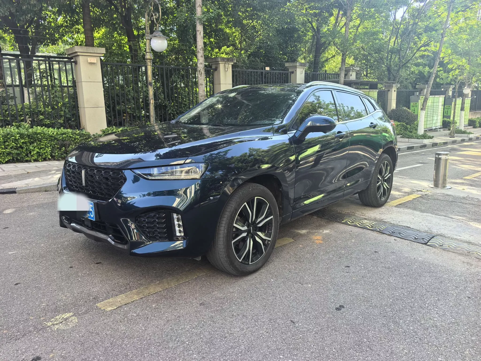 Wey Wei brand VV7