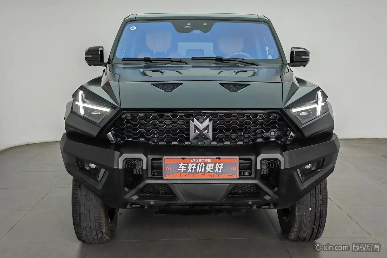 Mengshi Warrior 917