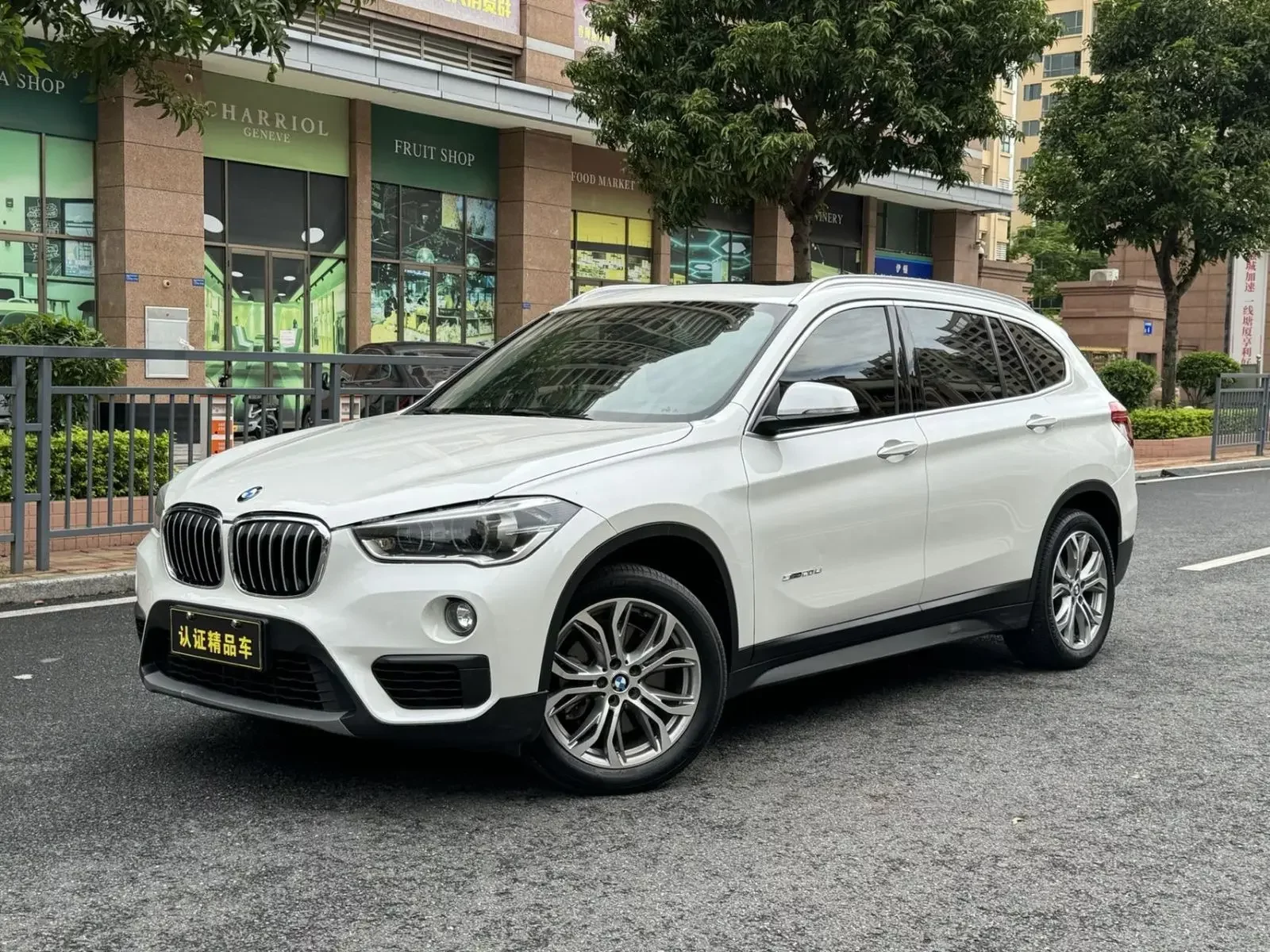 BMW X1