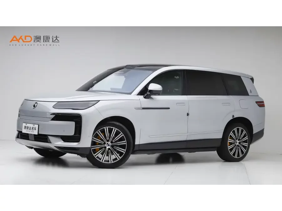 Denza Tengzhong N9 DM