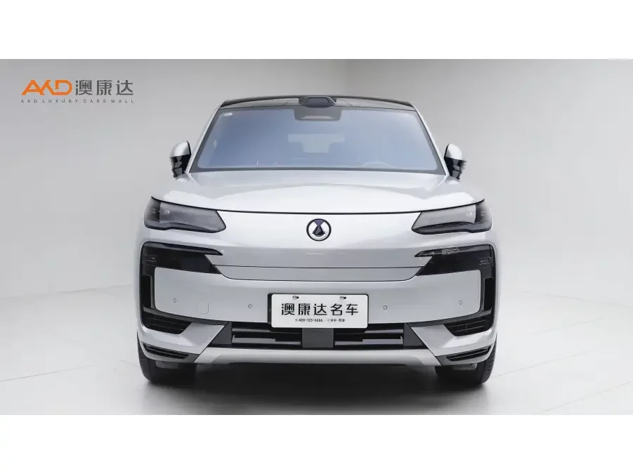 Denza Tengzhong N9 DM