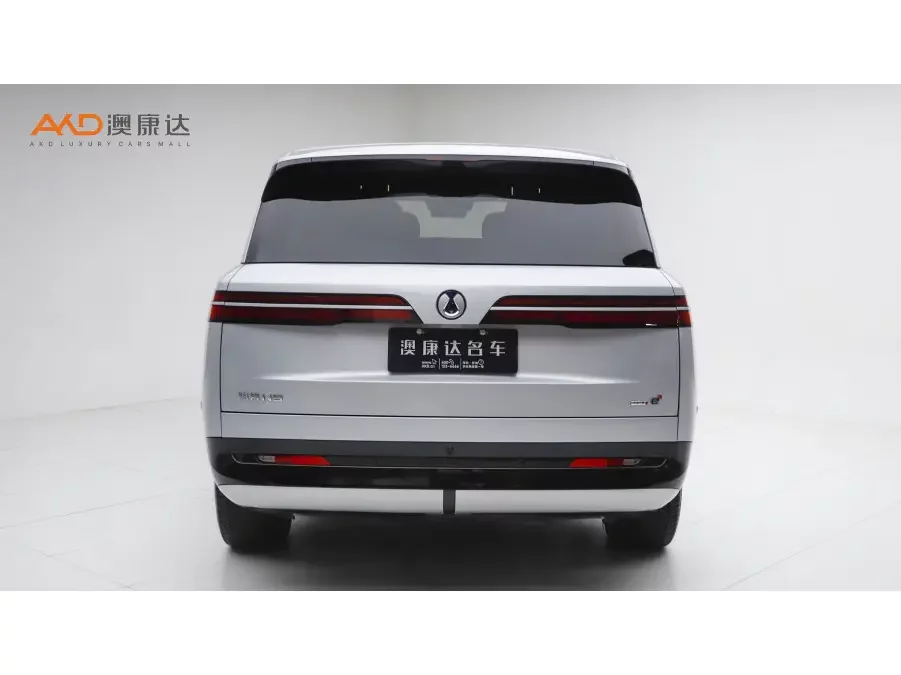 Denza Tengzhong N9 DM