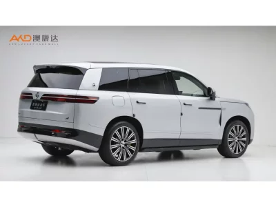 Denza Tengzhong N9 DM