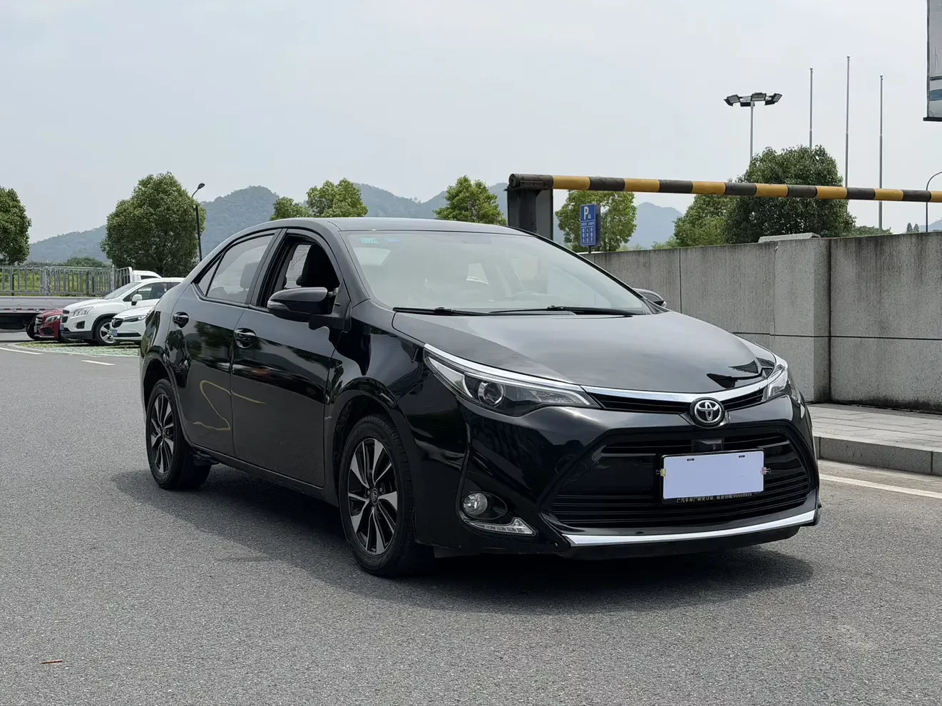 Toyota Levin (Lei Ling)