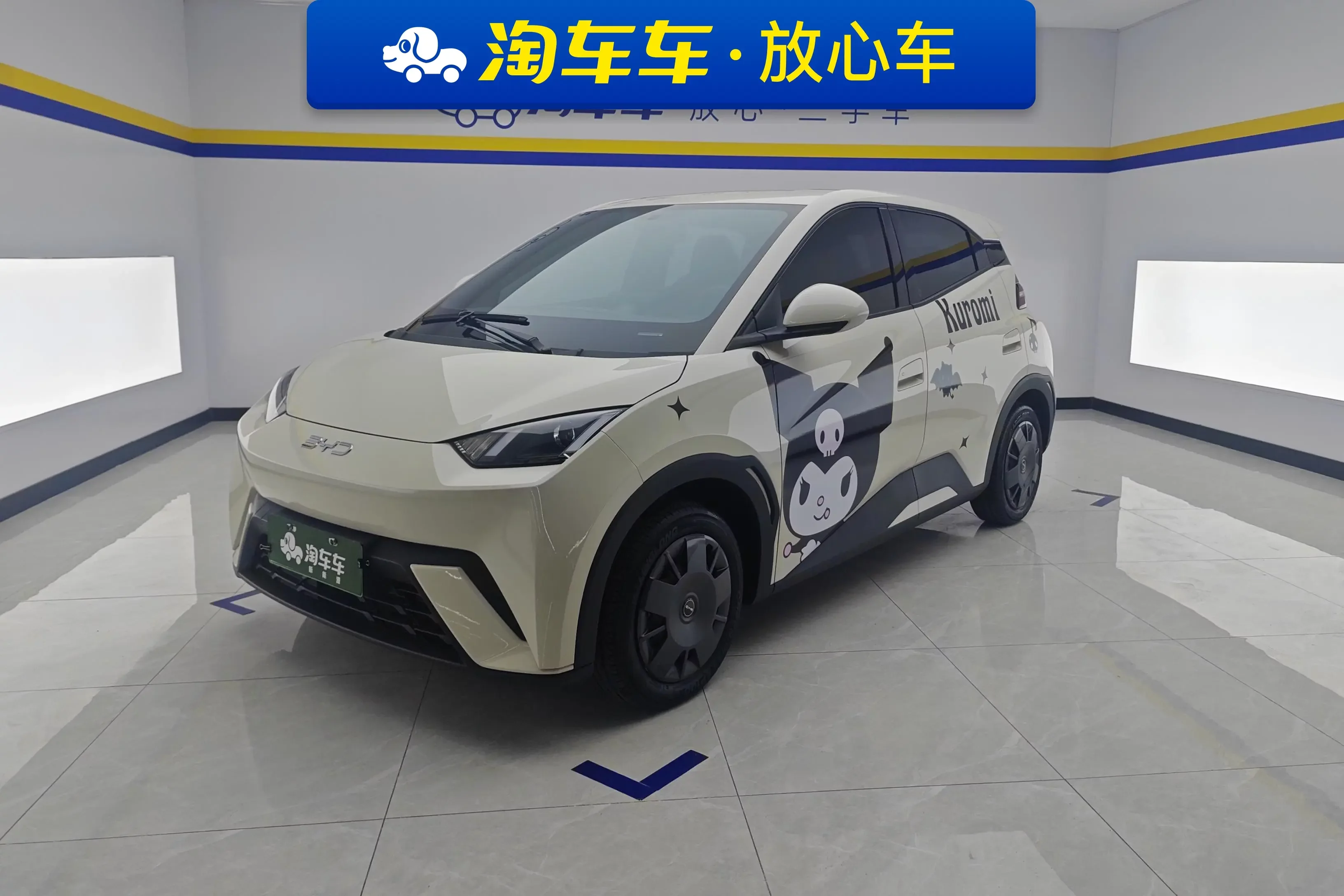 BYD seagull