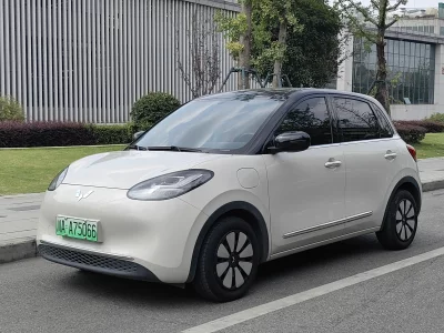 Wuling Bingo