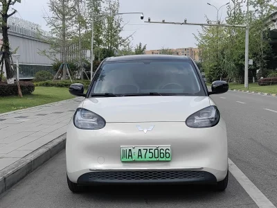 Wuling Bingo