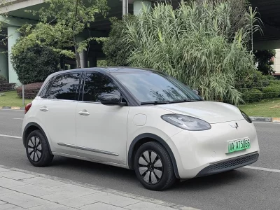 Wuling Bingo