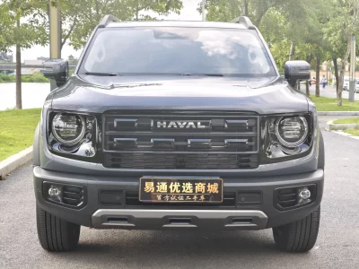 Haval Big Dog DaGou