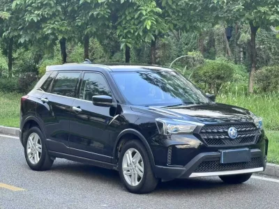 Venucia T60
