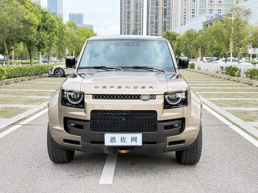 Land Rover guard