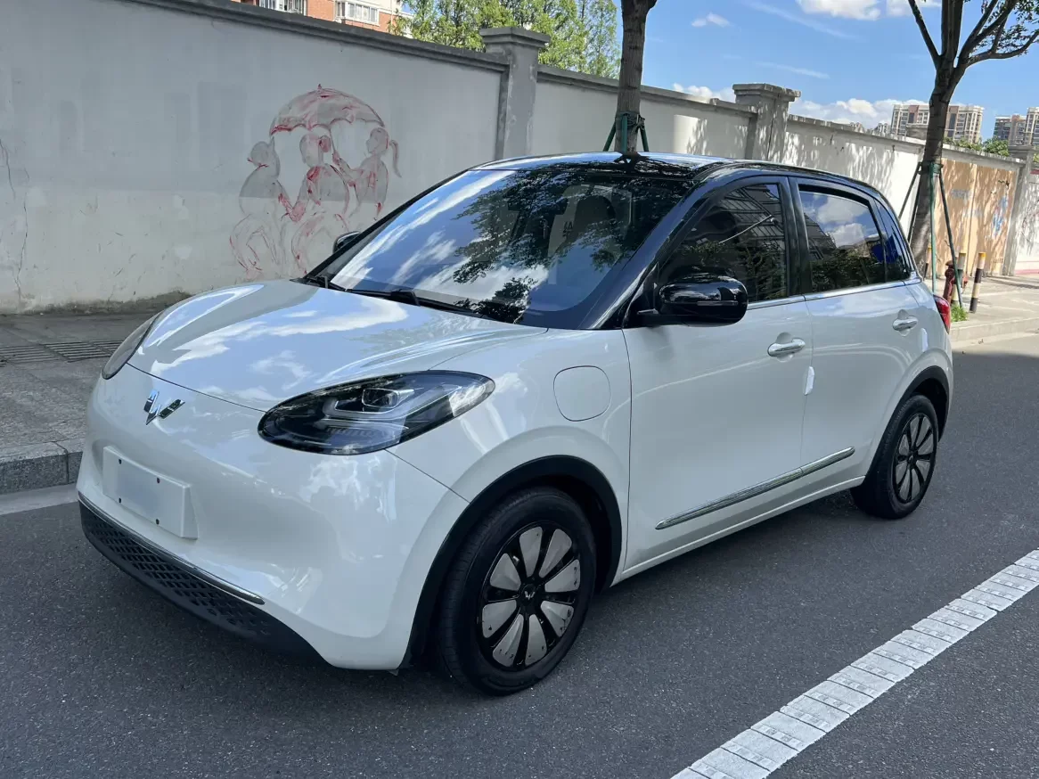Wuling Bingo