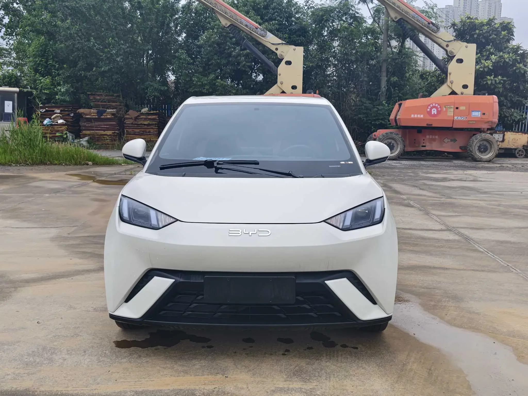 BYD seagull