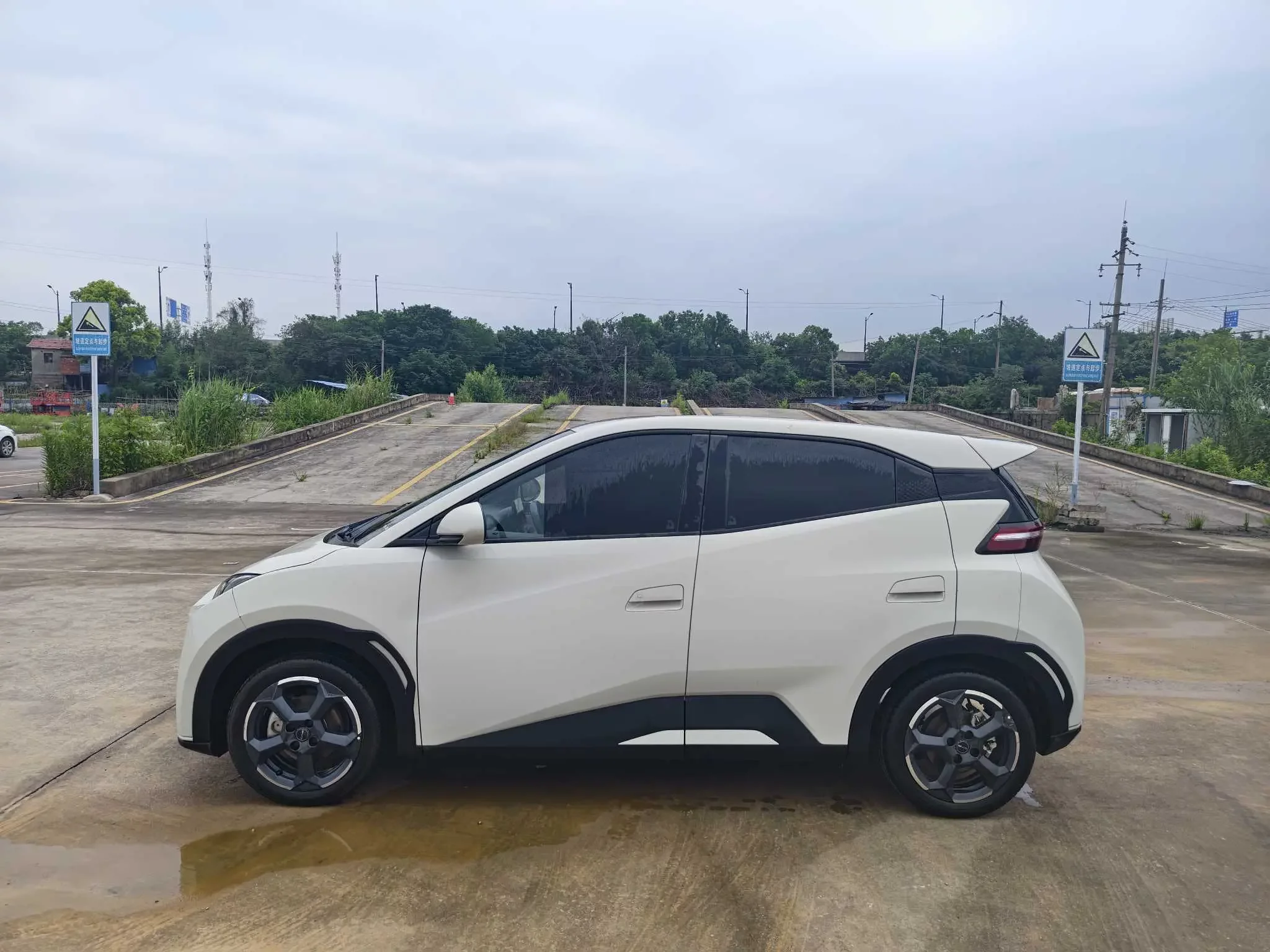 BYD seagull