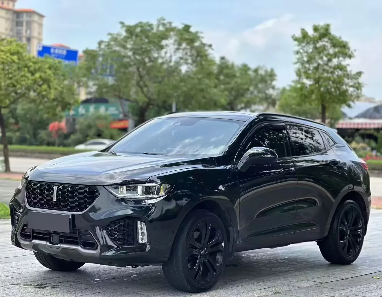 Wey Wei brand VV5