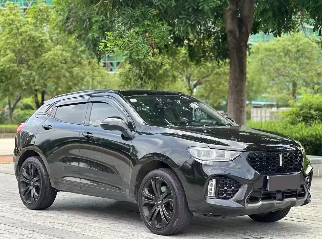 Wey Wei brand VV5