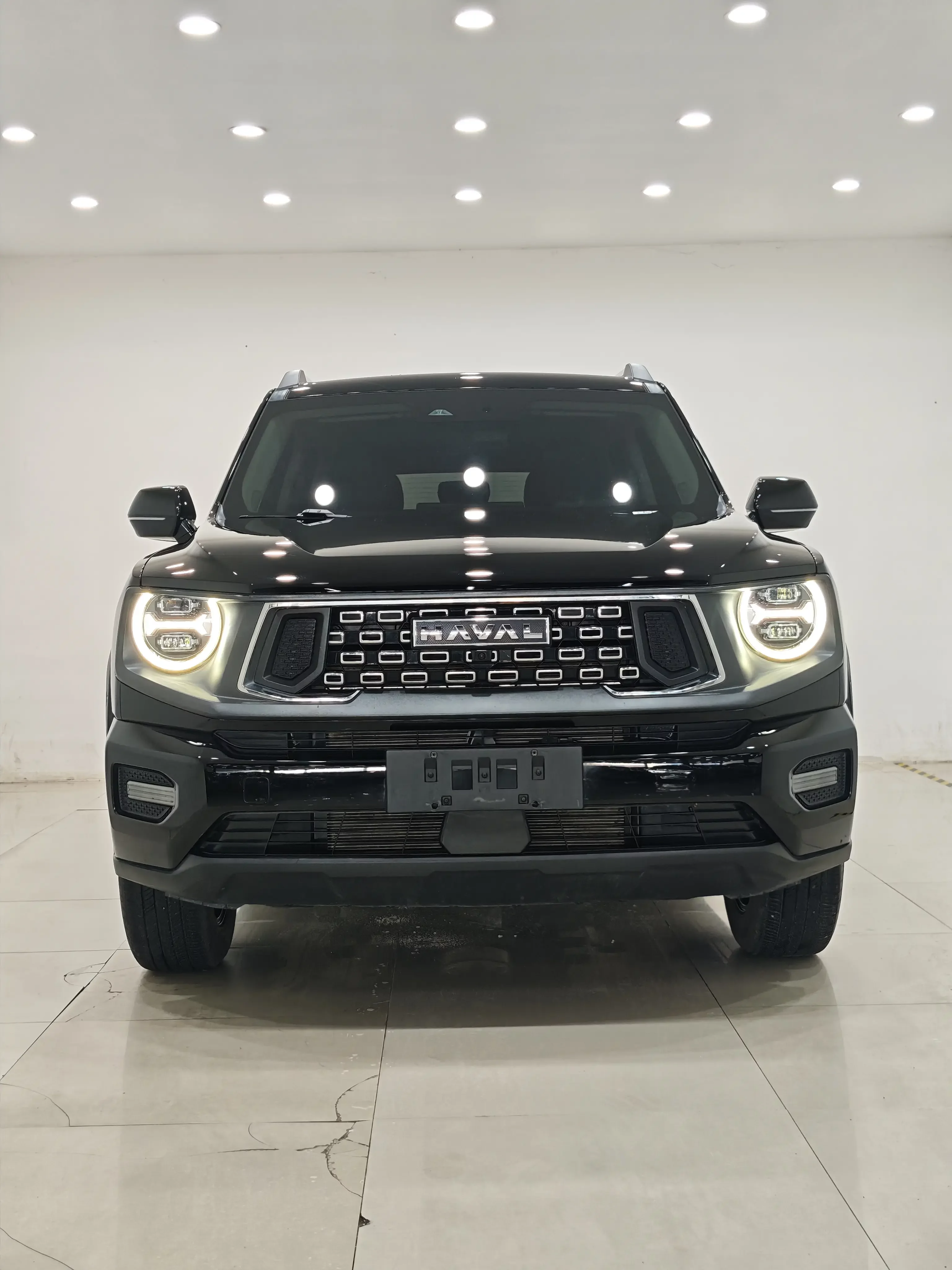 Haval H-Dog