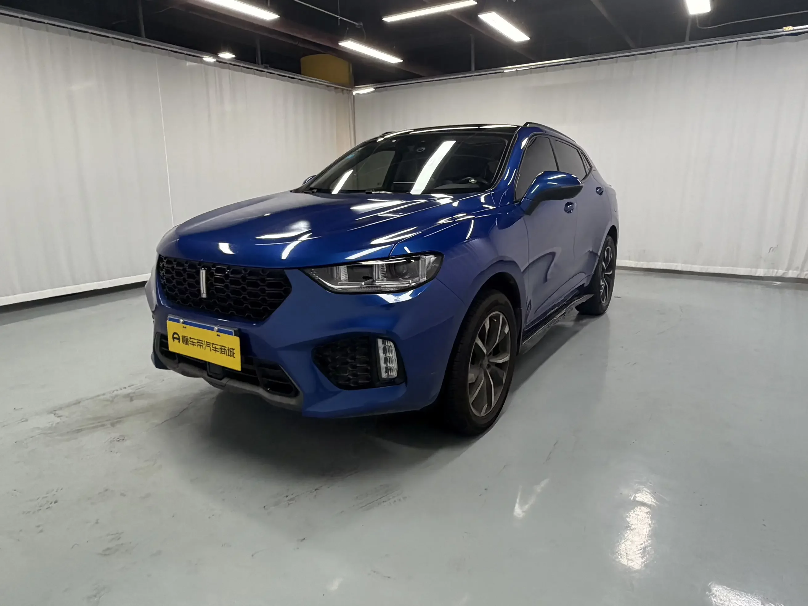 Wey Wei brand VV5