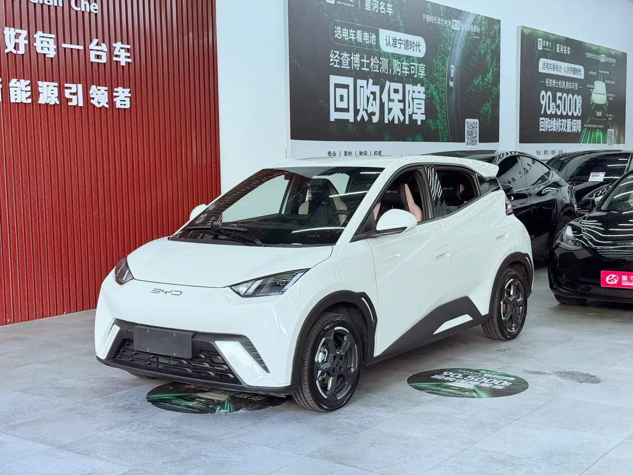 BYD seagull