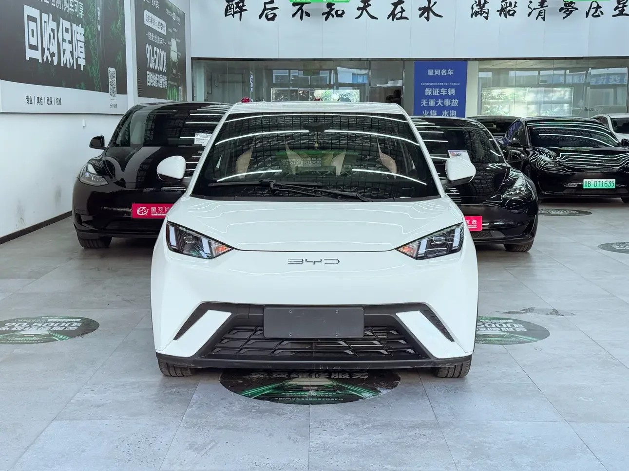 BYD seagull