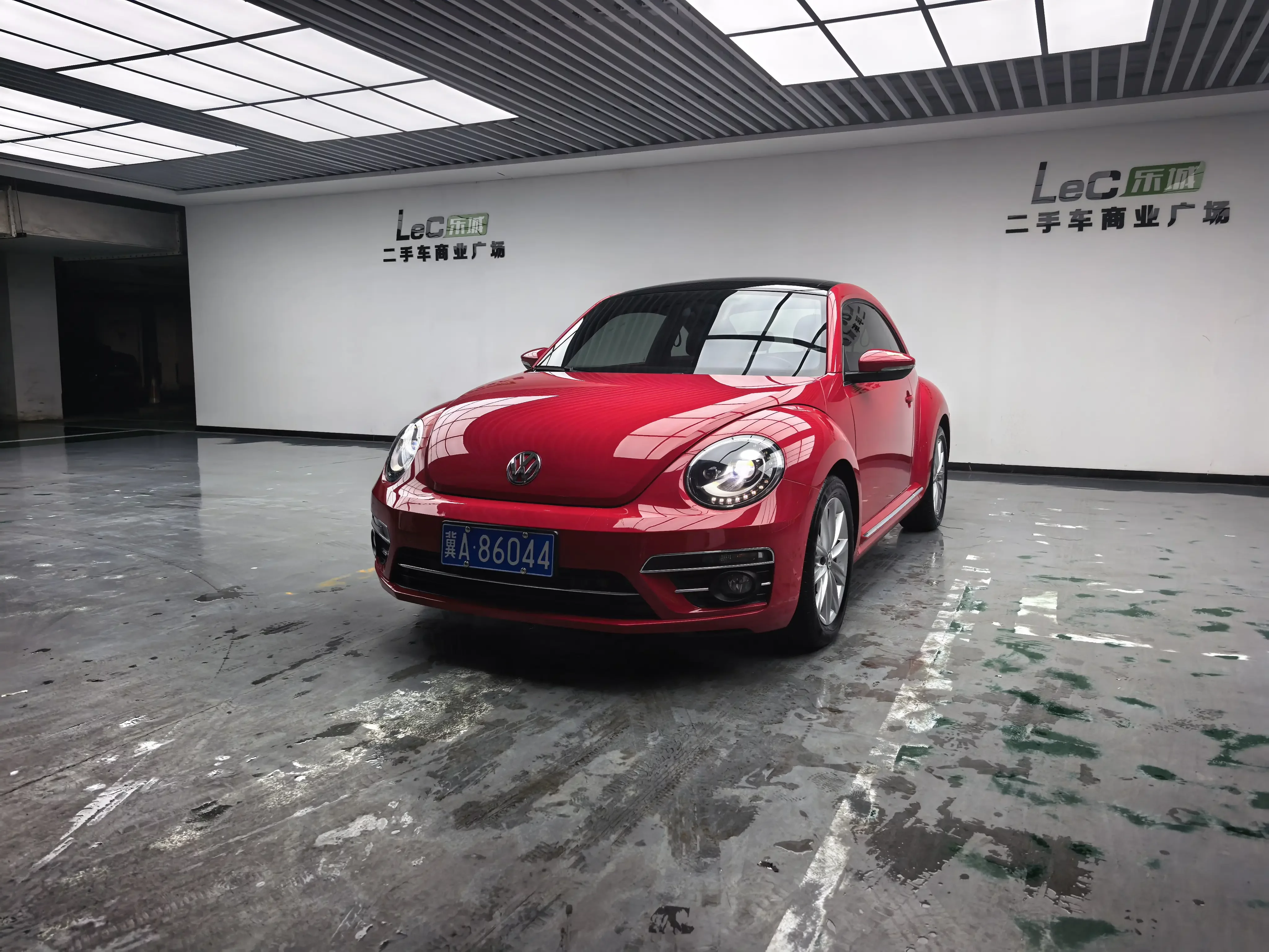 Volkswagen Beetle