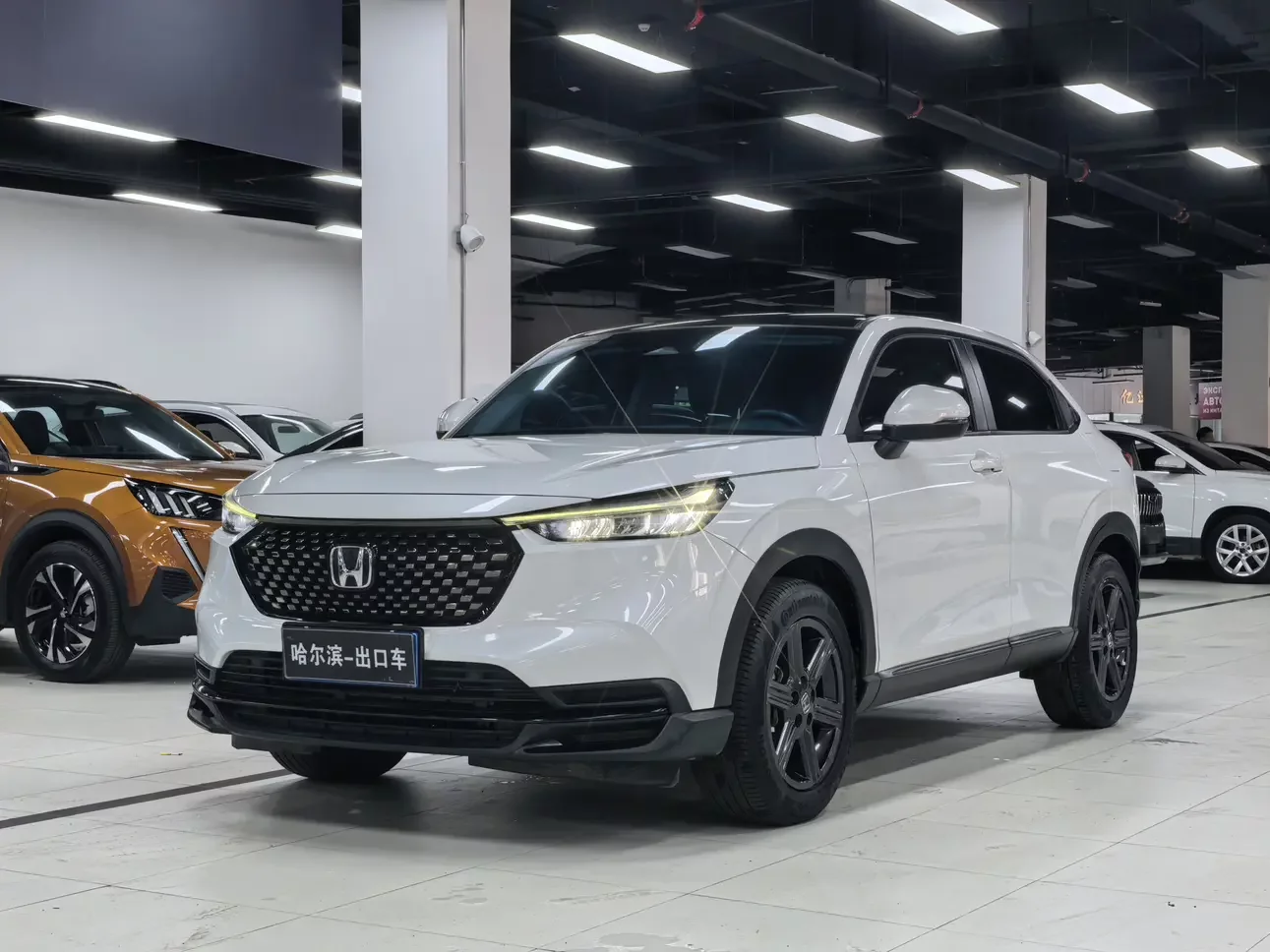 HONDA XR-V