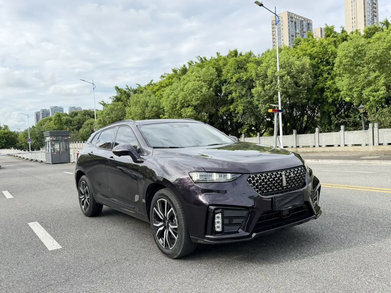 Wey Wei brand VV7