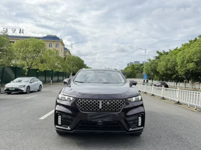 Wey Wei brand VV7