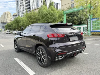 Wey Wei brand VV7