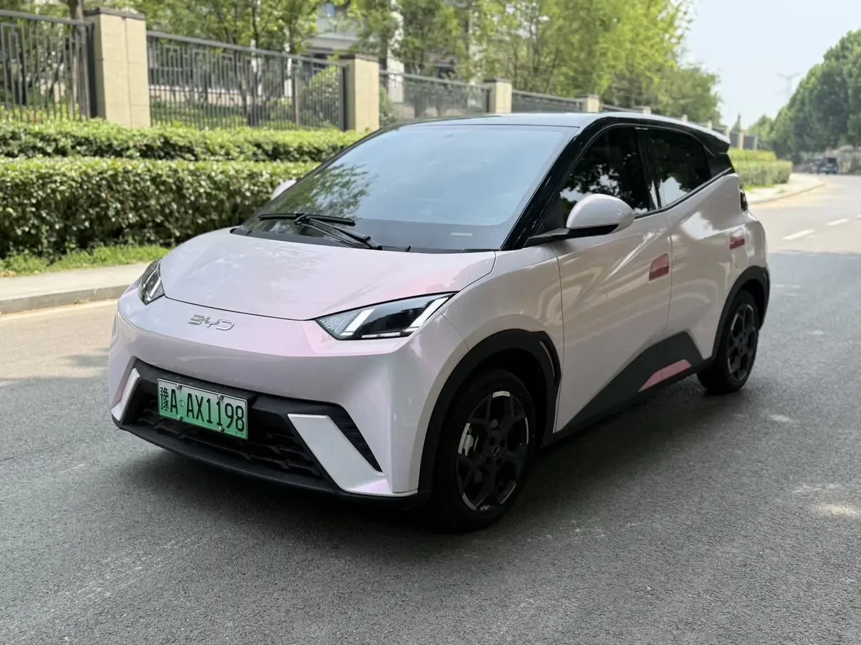 BYD seagull