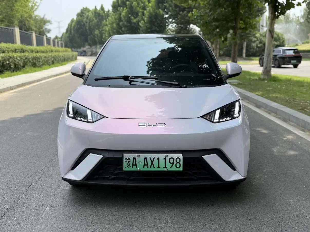 BYD seagull