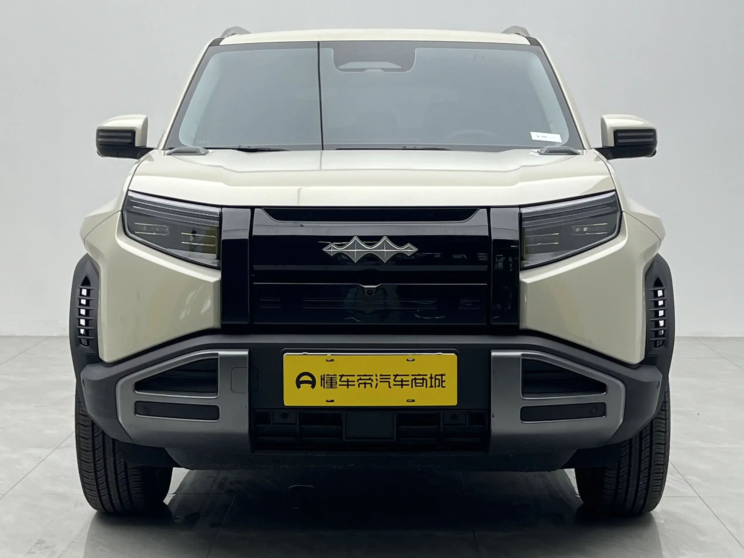 BYD Leopard Titanium 3
