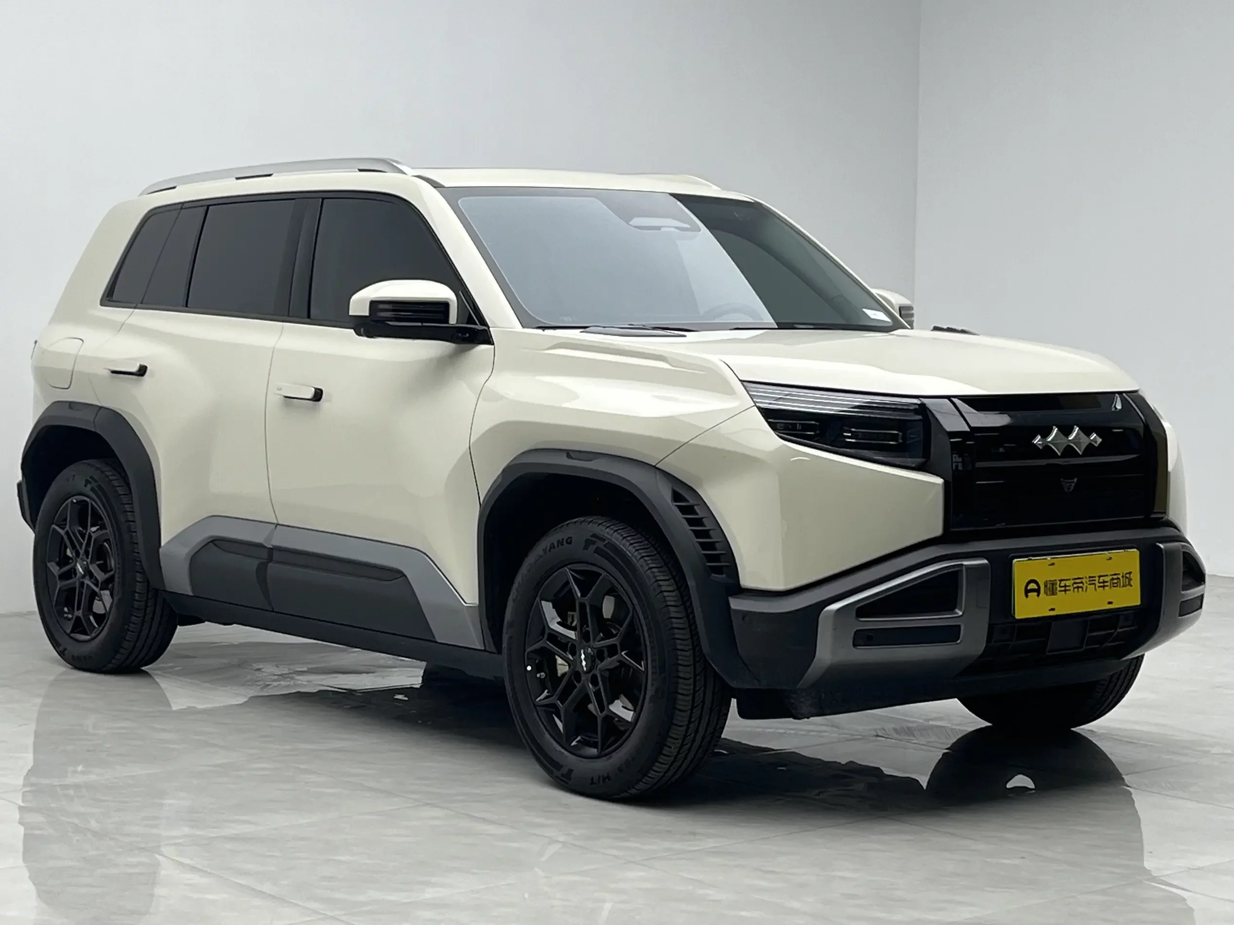 BYD Leopard Titanium 3