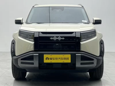 BYD Leopard Titanium 3