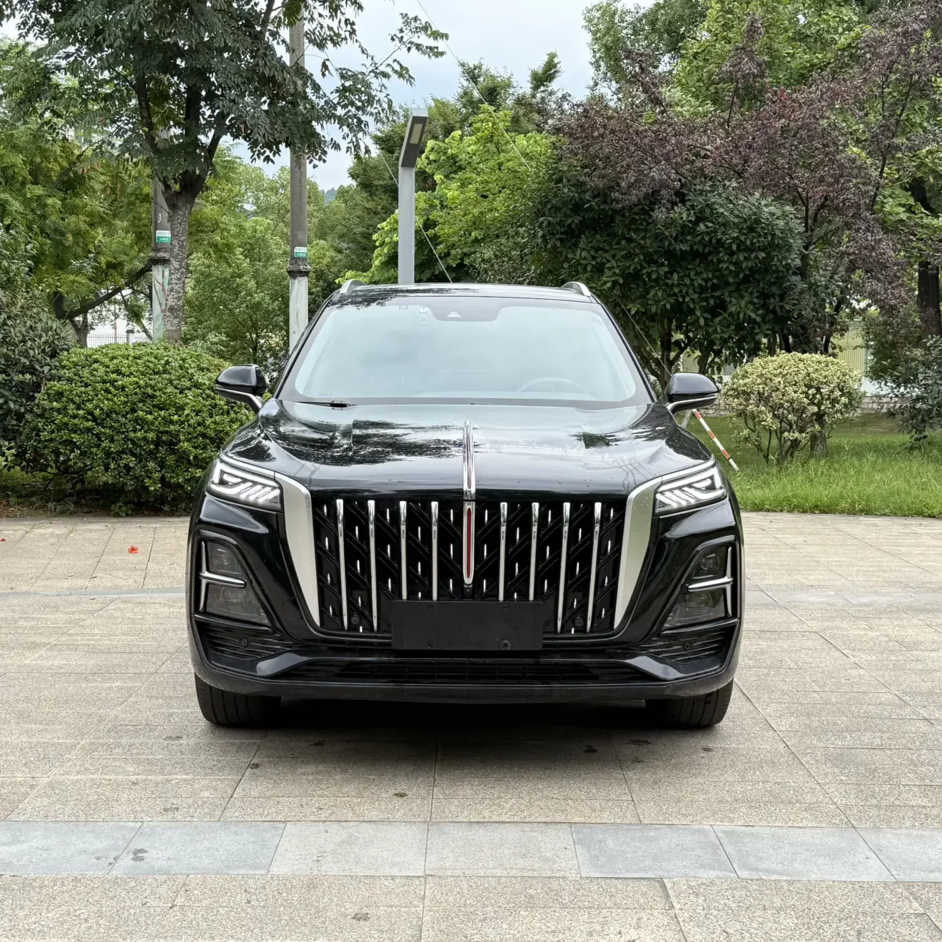 Hongqi HS5