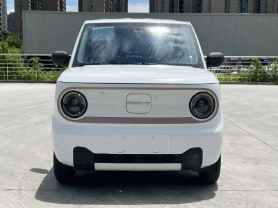Geely Panda