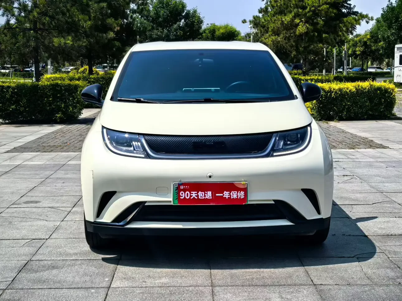 BYD dolphin