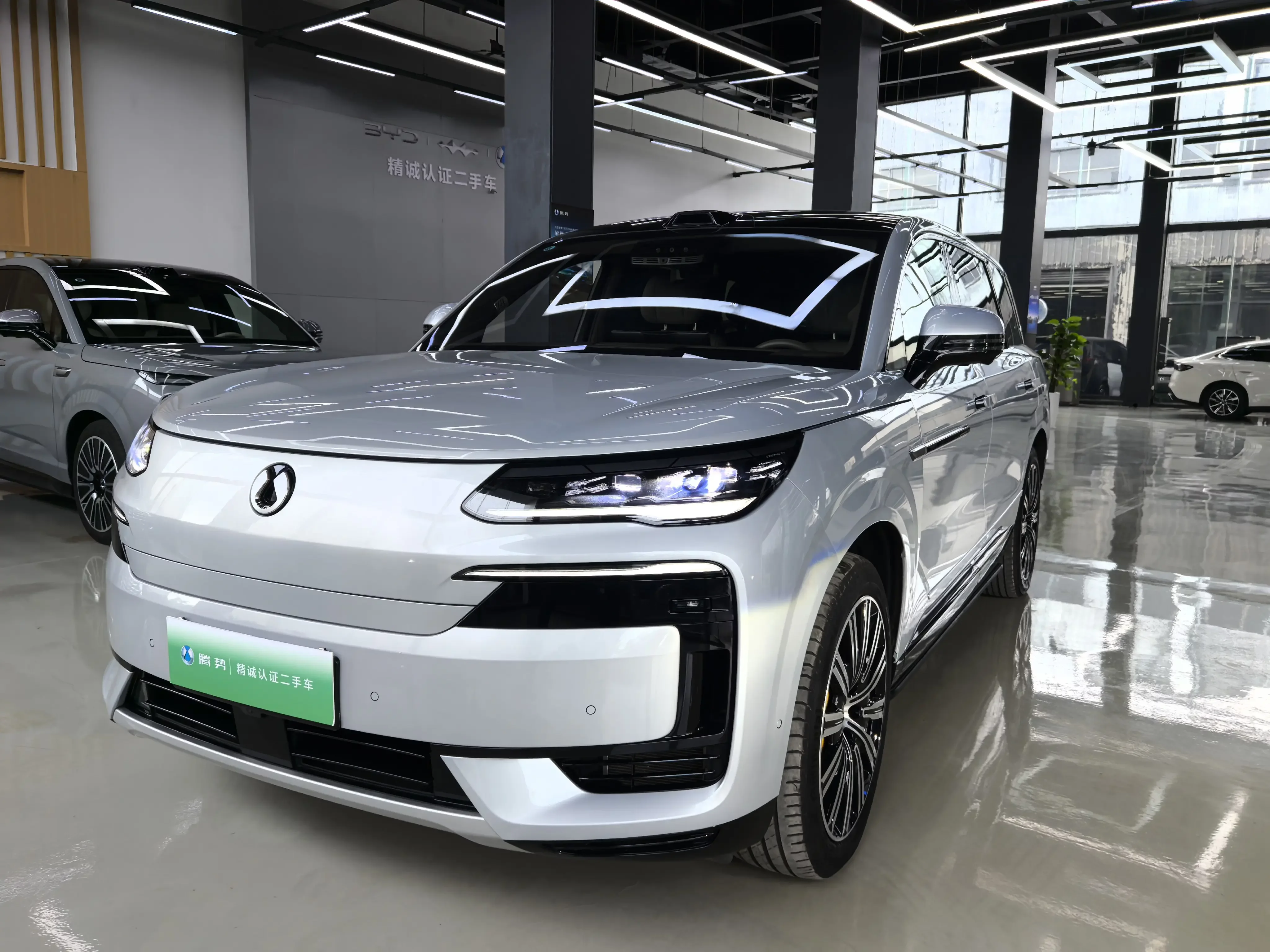 Denza Tengzhong N9 DM