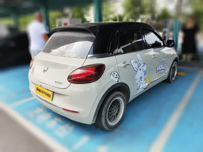 Wuling Bingo