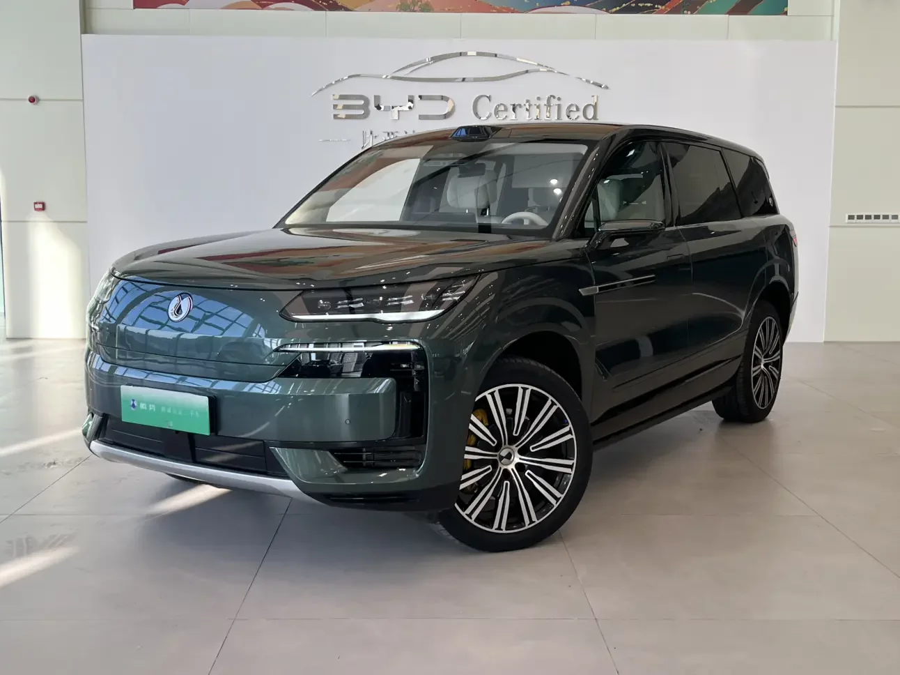 Denza Tengzhong N9 DM