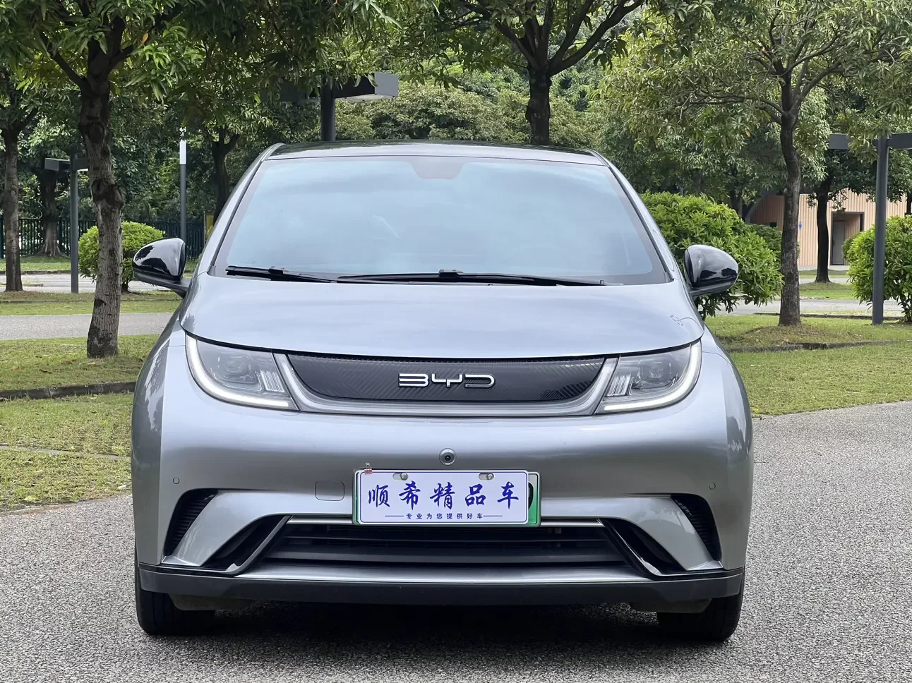 BYD dolphin