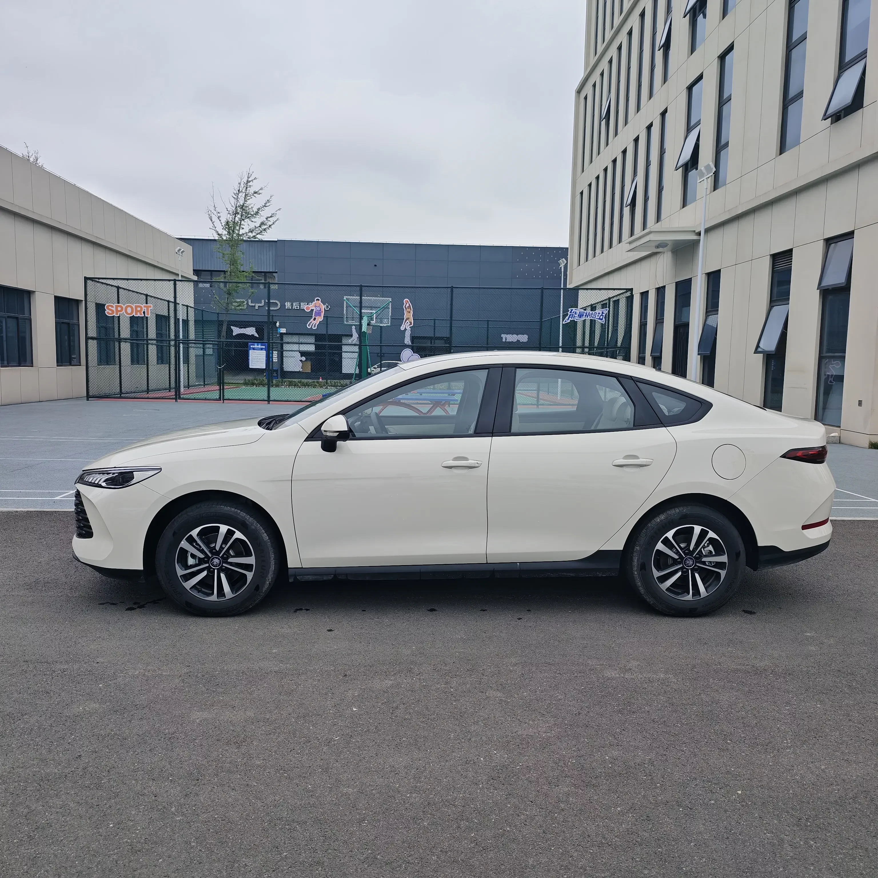 BYD Qin PLUS DM