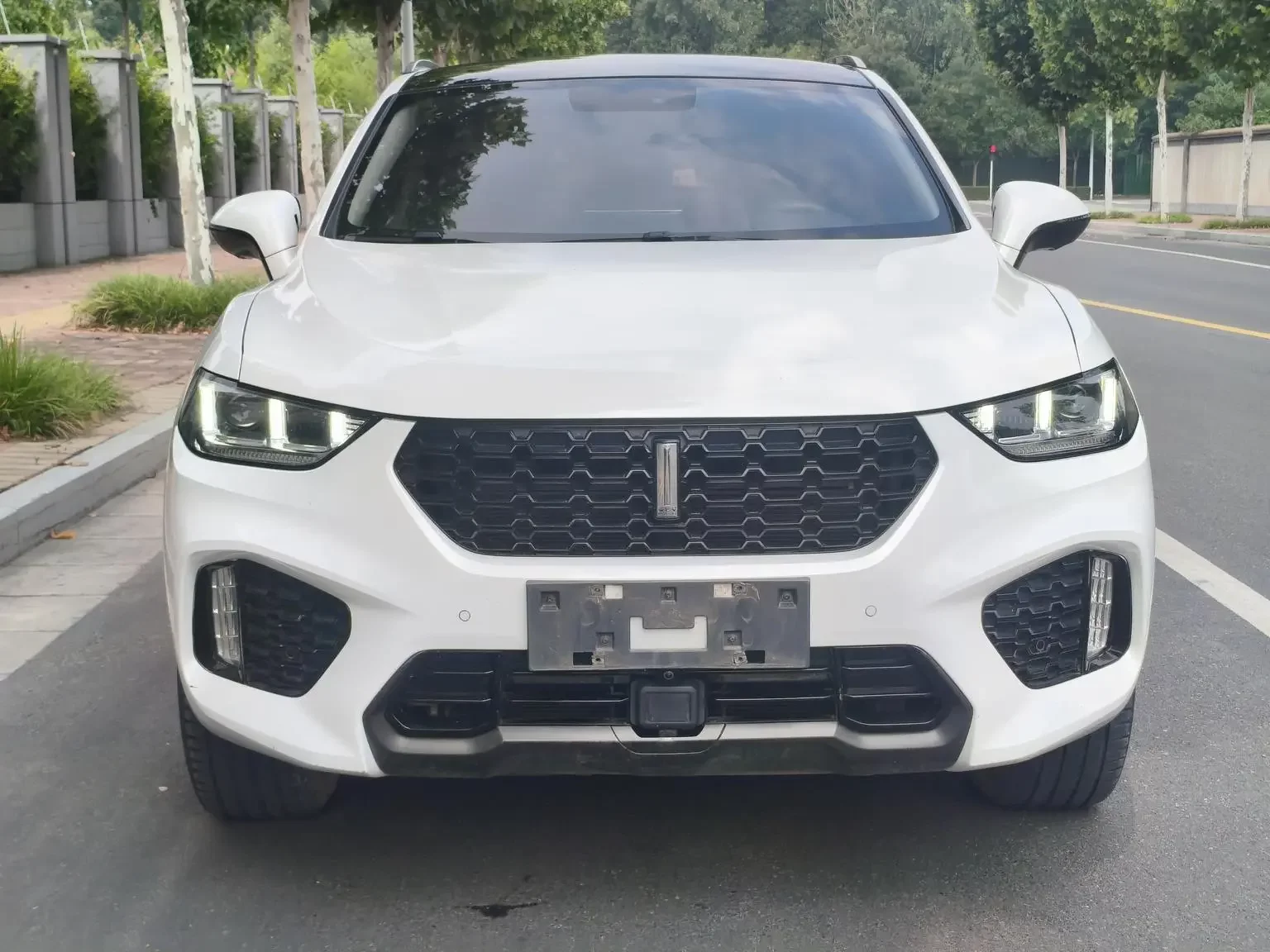 Wey Wei brand VV5