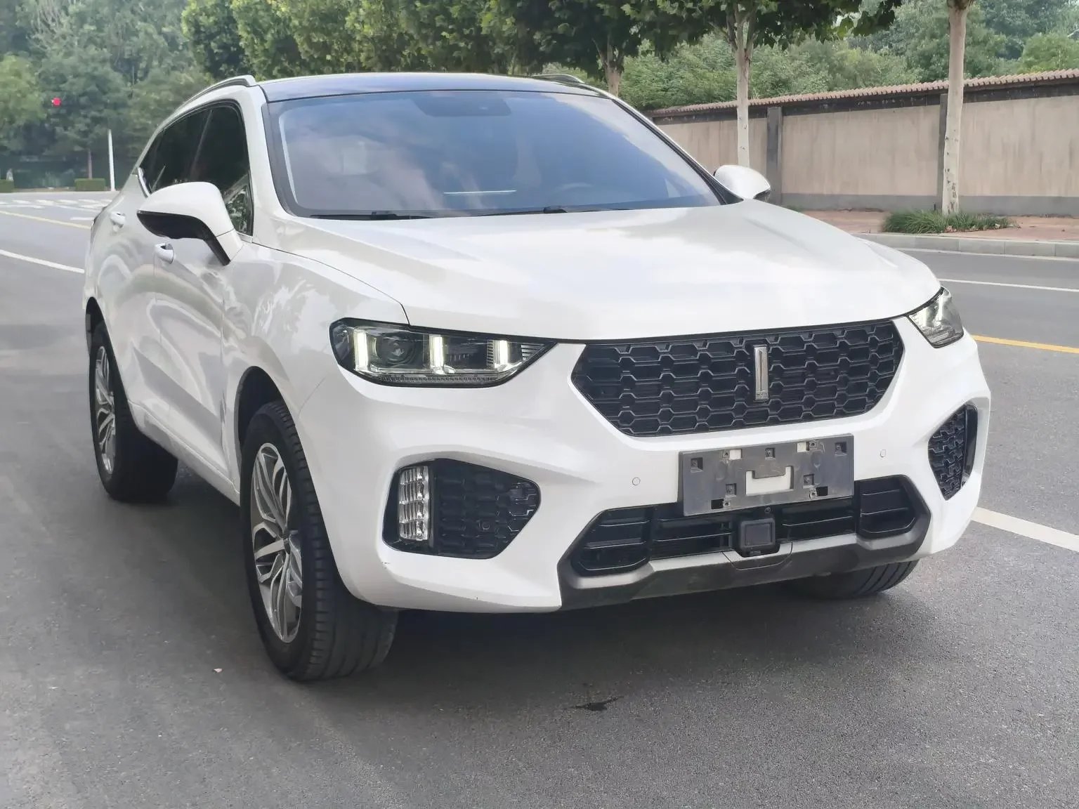 Wey Wei brand VV5