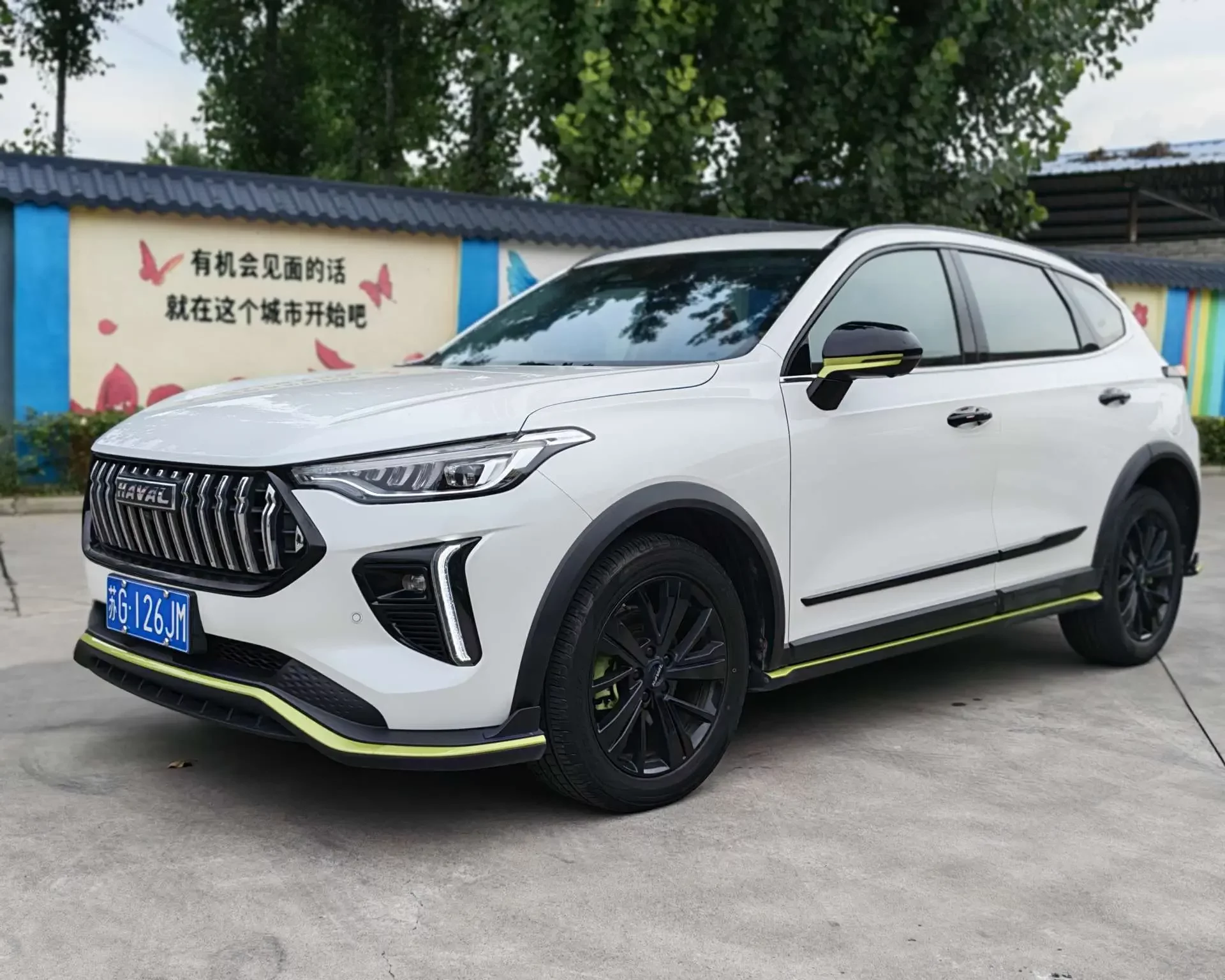 HAVAL HARVARD RED RABBIT