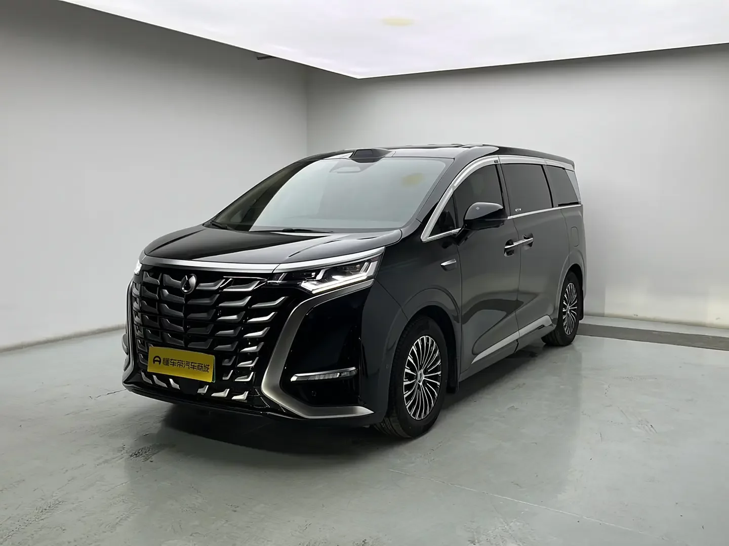 Denza D9 DM