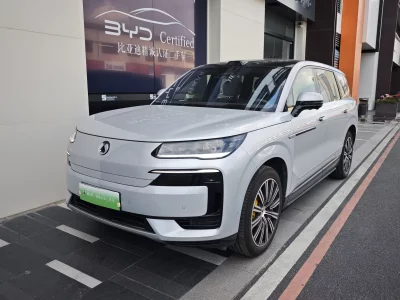 Denza Tengzhong N9 DM